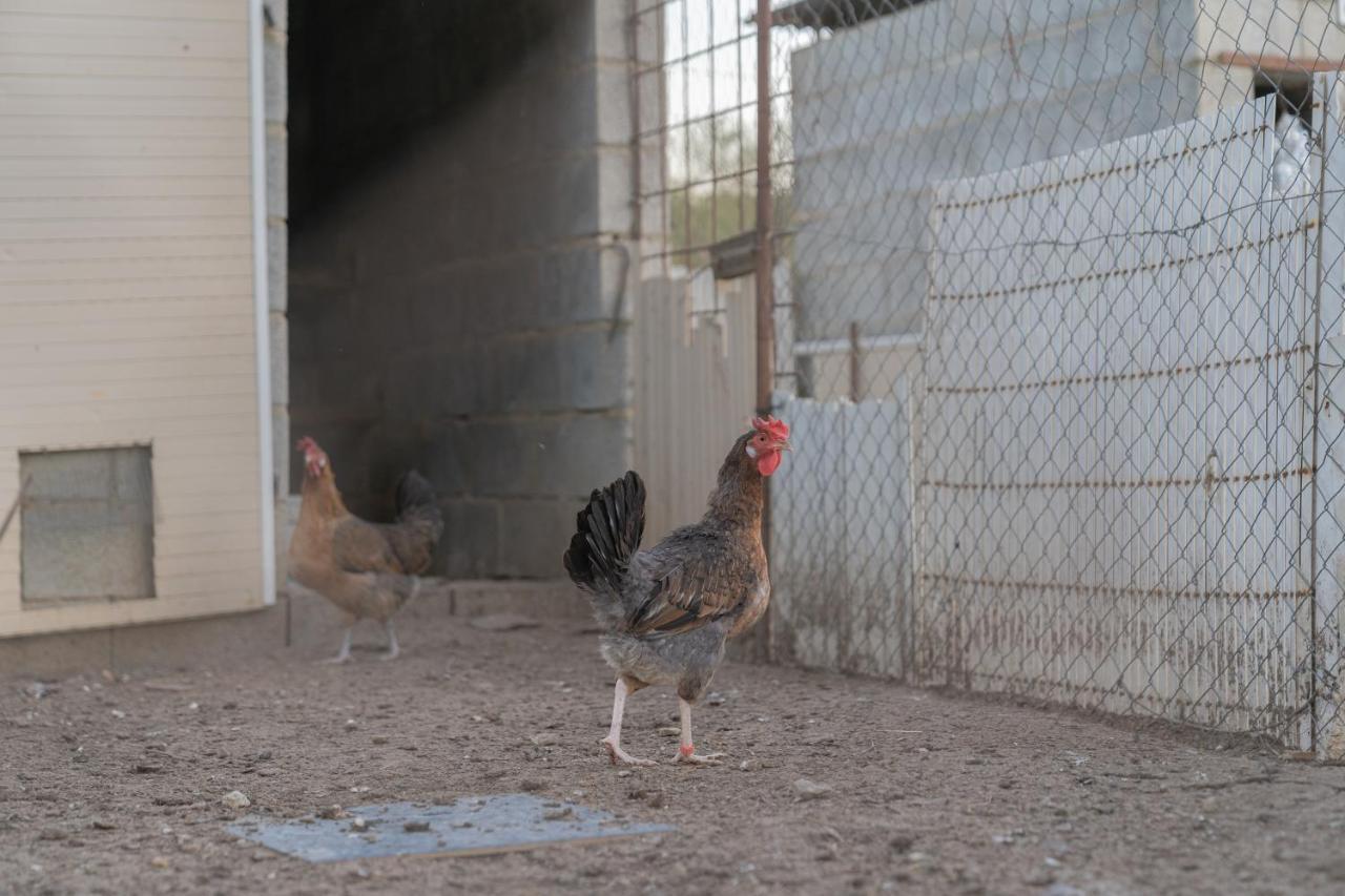 Alojamiento Rural Junto A Via Verde Olvera Eksteriør billede